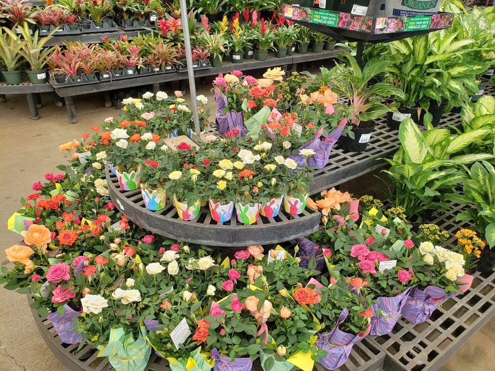 Walmart 165 Photos & 171 Reviews Department Stores 101 Pakaula St