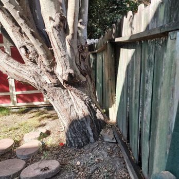 Rodriguez Maintenance & Landscaping - Old fence - Landscaping Near Me - San Leandro, California