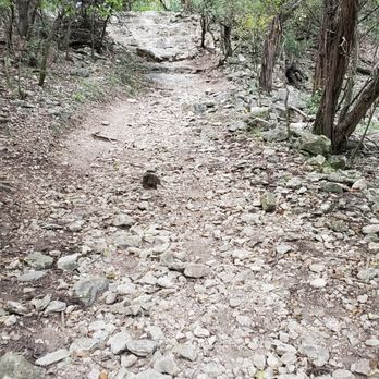 OP Schnabel Park - East side dirt trails and hills - Parks Near Me - San Antonio, Texas OP Schnabel Park - East side dirt trails and hills - Parks Near Me - San Antonio, Texas