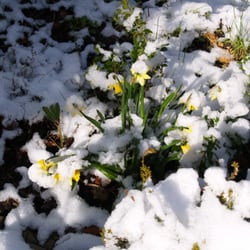 Osterspaziergang