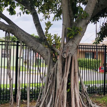 Ingalls Park - Parks Near Me - Hallandale Beach, Florida