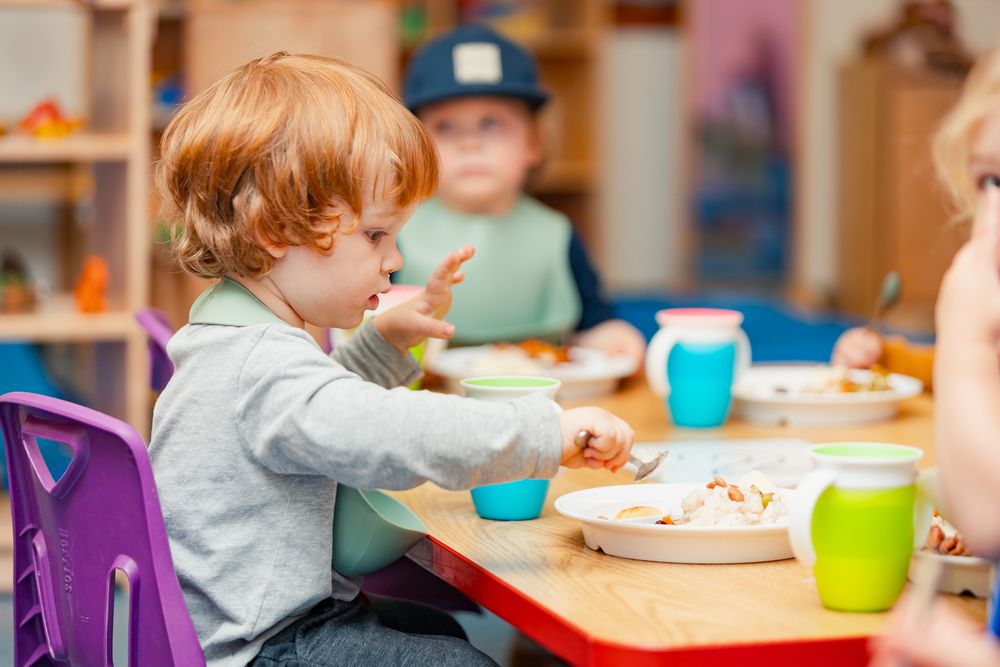 Jardin Spanish Immersion Academy - childcare center in Roseville, MN