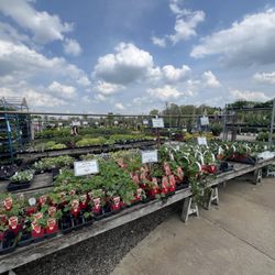 English Gardens