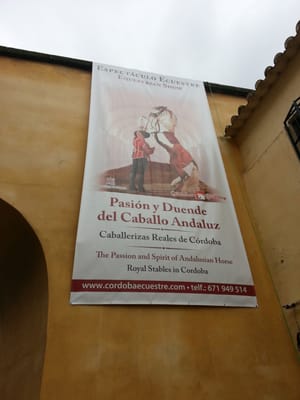 Caballerizas Reales by null