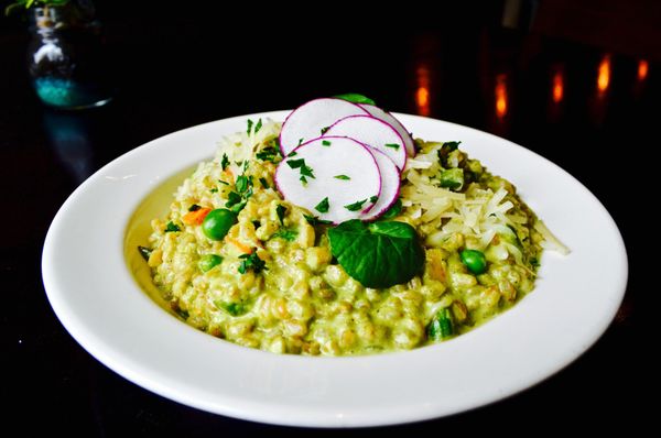 Urban Solace Catering by null