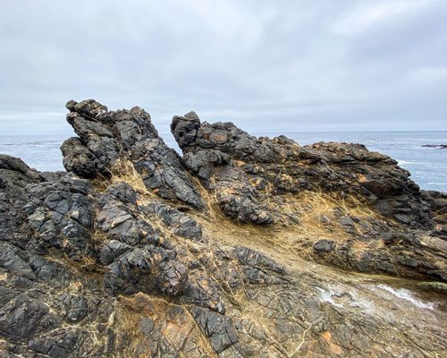 Mendocino Headlands State Park by null