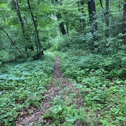 Nature Canyon Park - Mountain bike trails