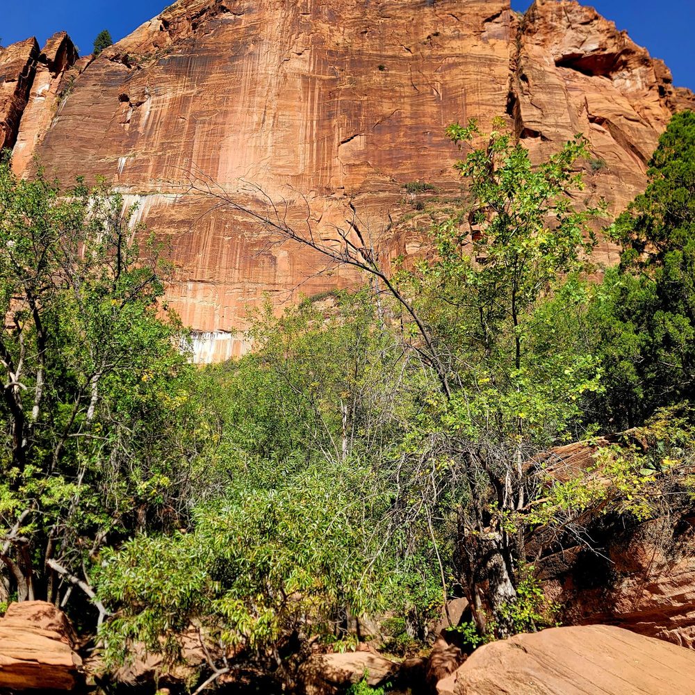 THE BEST 10 HIKING near GLENDALE, UT 84729 - Updated 2025 - Hours - Yelp