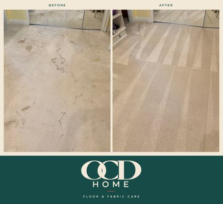 Carpet - DETAILS MATTER. Carpet - DETAILS MATTER.