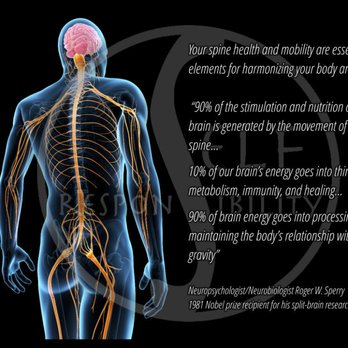 Holistic Healing Therapy - Massage Therapy Near Me - Raleigh, North Carolina Holistic Healing Therapy - Massage Therapy Near Me - Raleigh, North Carolina