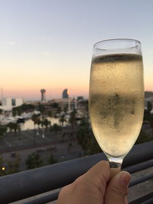 Hotel Duquesa de Cardona Barcelona by null