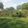 Photo of Kelly Crockett's Tree Care