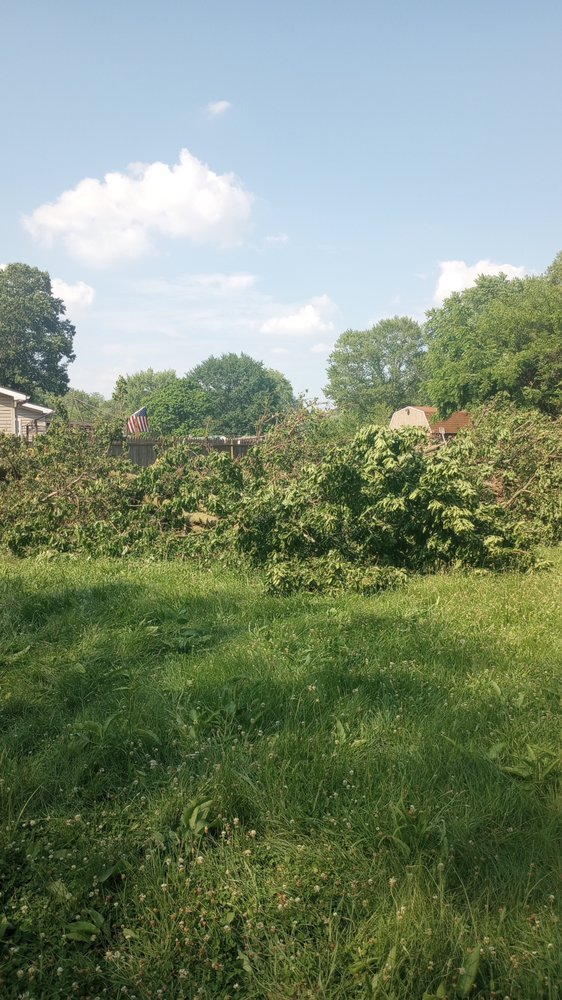 Kelly Crockett's Tree Care - tree service in Indianapolis, IN