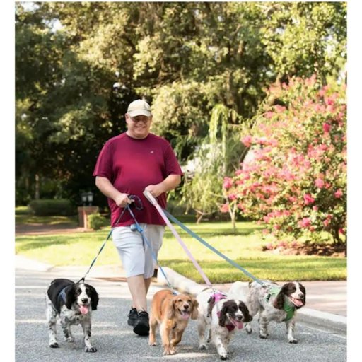 B3 PET CARE Updated July 2024 25 Photos Jacksonville, Florida