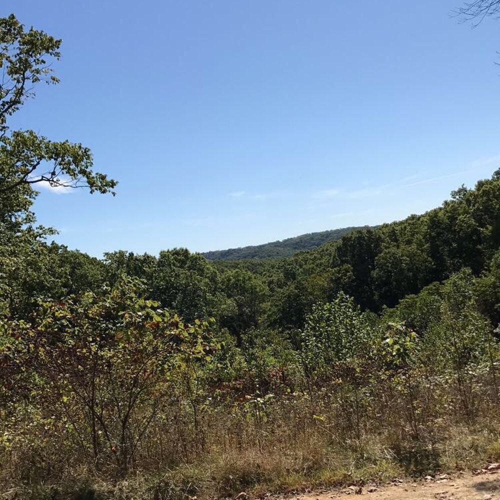 Brown County State Park - Hiking Near Me - Nashville, Indiana