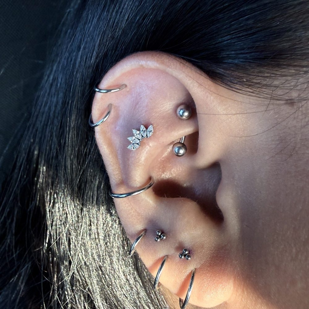 got my contra conch and both stacked lobes got my contra conch and both stacked lobes
