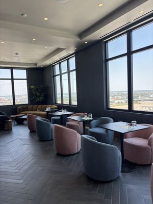 Rose & Thorn by null