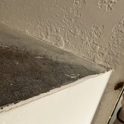 Bella Oasis Hotel & Spa - Cockroaches!