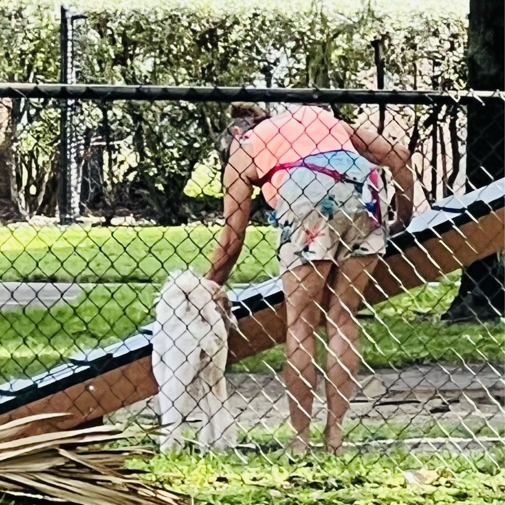 Oakland Bark - Dog Parks Near Me - Oakland Park, Florida Oakland Bark - Dog Parks Near Me - Oakland Park, Florida