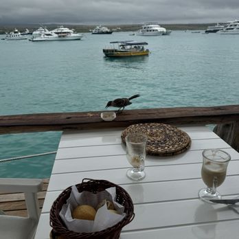 Classic Journeys - Breakfast on our own time on the water watching wildlife - Tours Near Me - La Jolla, California