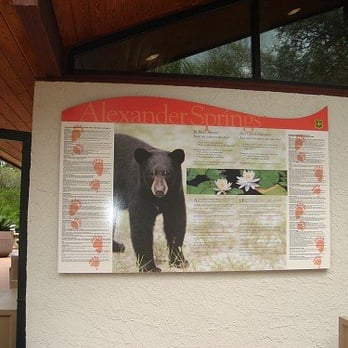 Ocala National Forest - Parks Near Me - Silver Springs, Florida