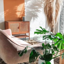 Rooted Beauty Waxing Studio