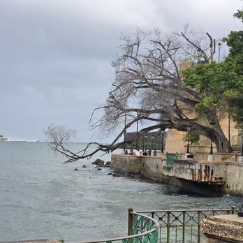 Fuente Raíces - A view of the pathway leading to the Puerta de San Juan - Landmarks & Historical Buildings Near Me - San Juan, Puerto Rico