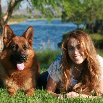 Rotterbarental German Shepherds - Pet Breeders Near Me Rotterbarental German Shepherds - Pet Breeders Near Me