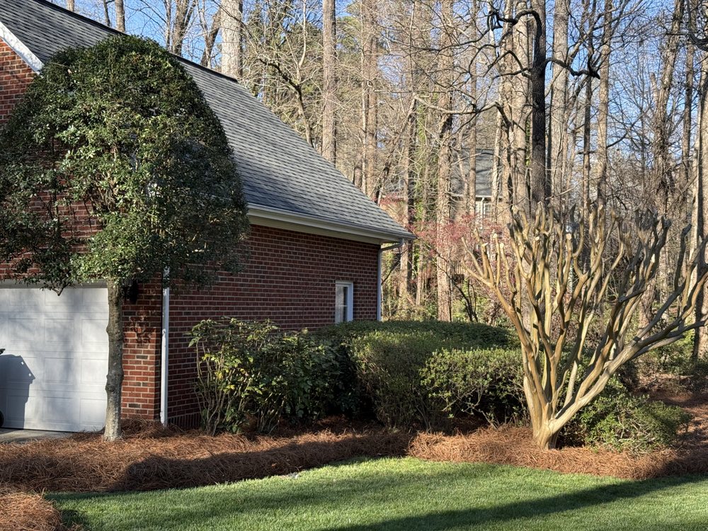 Torres Lawn Maintenance - tree service in Raleigh, NC