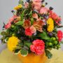 Photo of Blooms and Fins