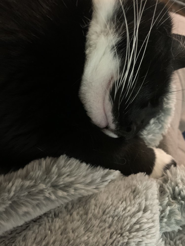 SOUTH SHORE COLLISION Updated October 2024 11 Reviews 550 Willard