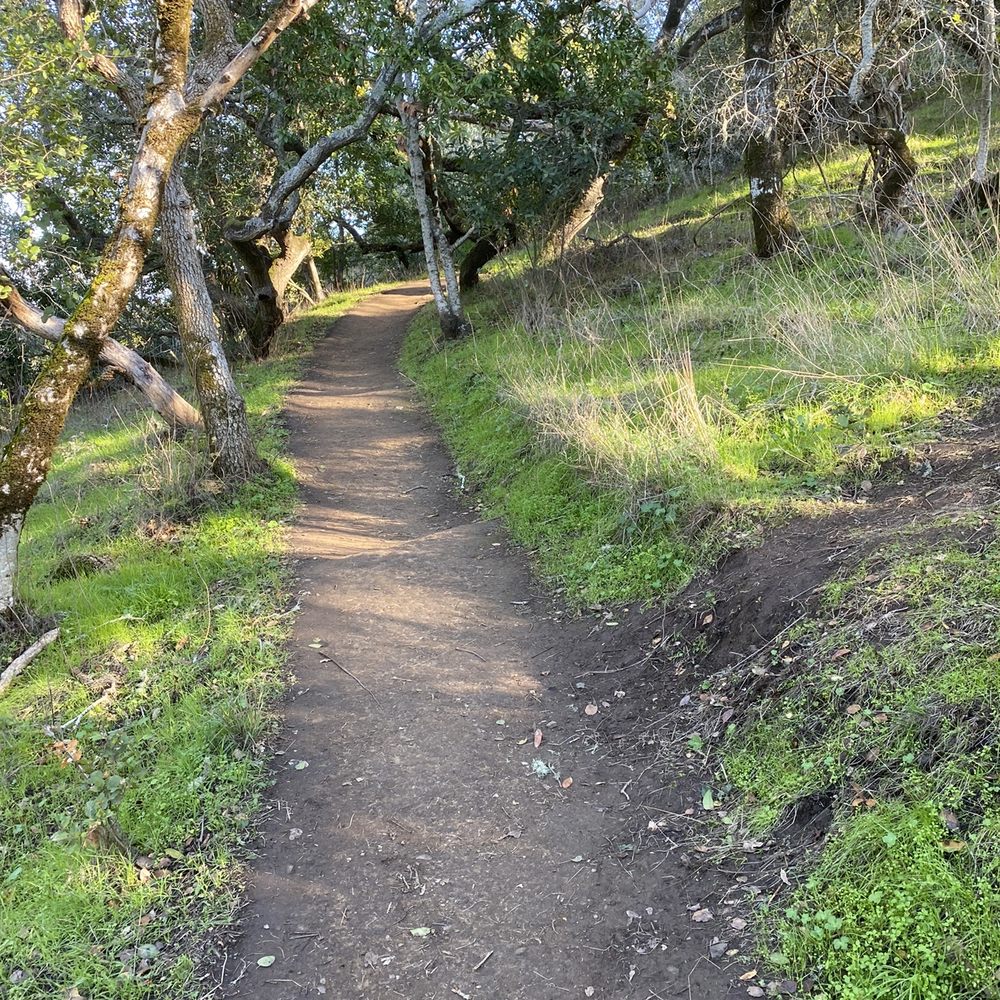 Laurelwood Park/Sugarloaf - Parks Near Me - San Mateo, California Laurelwood Park/Sugarloaf - Parks Near Me - San Mateo, California