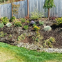 Photo of Tough Dirt