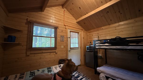 Dreher Island State Park by null