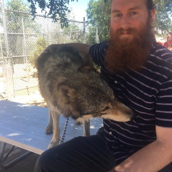 Wolf Mountain Sanctuary - Animal Shelters Near Me - Lucerne Valley, California Wolf Mountain Sanctuary - Animal Shelters Near Me - Lucerne Valley, California