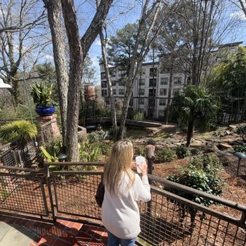 Pappadeaux Seafood Kitchen - Garden area off the patio. - Cajun/Creole Near Me - Marietta, Georgia