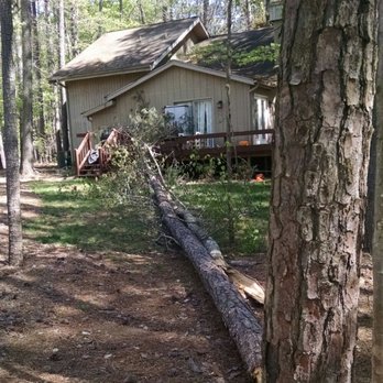 Wright Brothers' Tree Service - Pine tree that fell on deck during storm. - Tree Services Near Me Wright Brothers' Tree Service - Pine tree that fell on deck during storm. - Tree Services Near Me