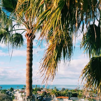 Hampton Inn & Suites San Clemente - I'm pretty sure this was taken here - Hotels Near Me - San Clemente, California Hampton Inn & Suites San Clemente - I'm pretty sure this was taken here - Hotels Near Me - San Clemente, California