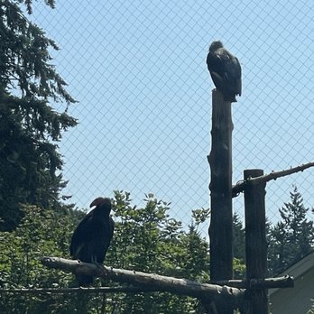 Oregon Zoo - Zoos Near Me - Portland, Oregon
