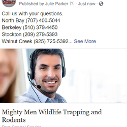 Mighty Men Wildlife and Rodents Modesto - Mighty Men Wildlife and Rodent Pest Control Modesto with additional locations throughout the Bay Area. We get rid of rodents fast.