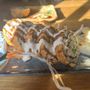 Photo of DELI DOJO