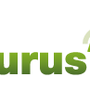 Photo of purus