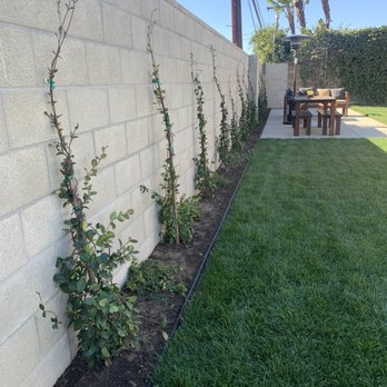 GreenWorks Landscaping - Drip irrigation - Landscaping Near Me GreenWorks Landscaping - Drip irrigation - Landscaping Near Me