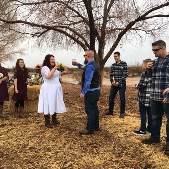 Flip Flop Ranch - Outdoor wedding under the big Elm tree - Bed & Breakfast Near Me - Lucerne Valley, California Flip Flop Ranch - Outdoor wedding under the big Elm tree - Bed & Breakfast Near Me - Lucerne Valley, California