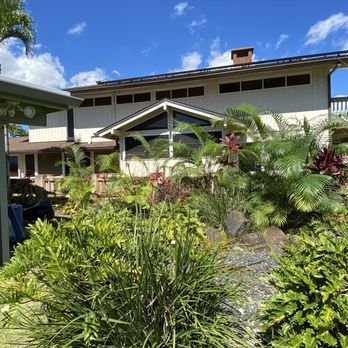 MonkeyMan Tree Care - No more trees - Tree Services Near Me - Aiea, Hawaii MonkeyMan Tree Care - No more trees - Tree Services Near Me - Aiea, Hawaii
