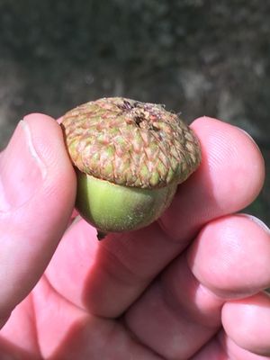 Clifford Park by null