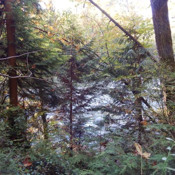 Lynn Canyon Park - Parks Near Me - North Vancouver, British Columbia