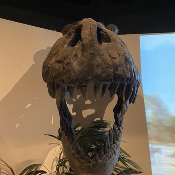 Blackhawk Museum - T rex - Museums Near Me - Danville, California Blackhawk Museum - T rex - Museums Near Me - Danville, California