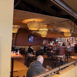Africa Lounge - View of the restaurant
