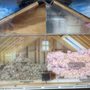 Attic Energy Experts